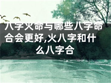 八字火命与哪些八字命合会更好,火八字和什么八字合