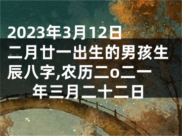 2023年3月12日二月廿一出生的男孩生辰八字,农历二o二一年三月二十二日
