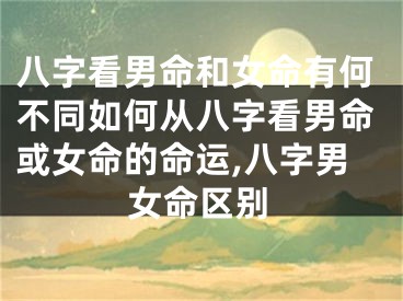 八字看男命和女命有何不同如何从八字看男命或女命的命运,八字男女命区别