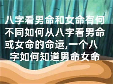 八字看男命和女命有何不同如何从八字看男命或女命的命运,一个八字如何知道男命女命