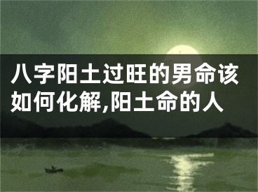 八字阳土过旺的男命该如何化解,阳土命的人