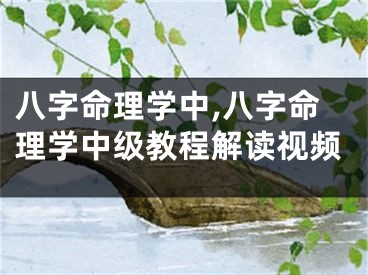 八字命理学中,八字命理学中级教程解读视频