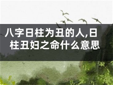 八字日柱为丑的人,日柱丑妇之命什么意思