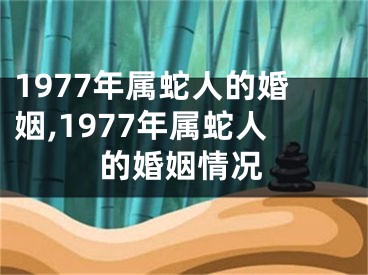 1977年属蛇人的婚姻,1977年属蛇人的婚姻情况
