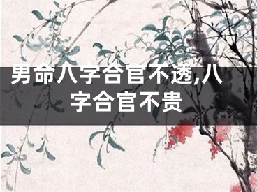 男命八字合官不透,八字合官不贵