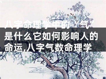 八字命理学中的“气”是什么它如何影响人的命运,八字气数命理学