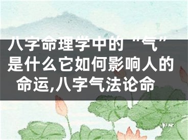八字命理学中的“气”是什么它如何影响人的命运,八字气法论命
