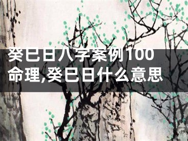 癸巳日八字案例100命理,癸巳日什么意思