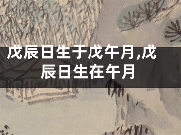 戊辰日生于戊午月,戊辰日生在午月