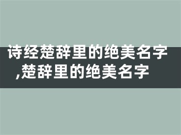 诗经楚辞里的绝美名字,楚辞里的绝美名字