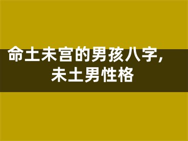 命土未宫的男孩八字,未土男性格
