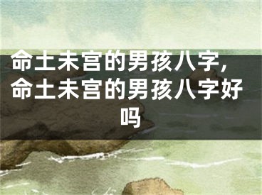 命土未宫的男孩八字,命土未宫的男孩八字好吗