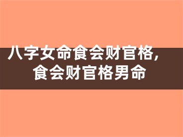 八字女命食会财官格,食会财官格男命