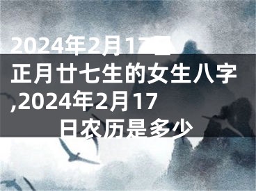 2024年2月17日正月廿七生的女生八字,2024年2月17日农历是多少