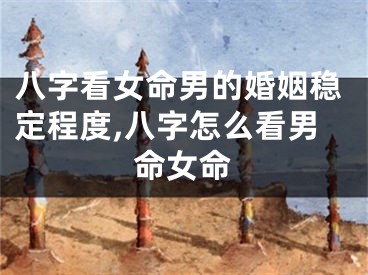 八字看女命男的婚姻稳定程度,八字怎么看男命女命