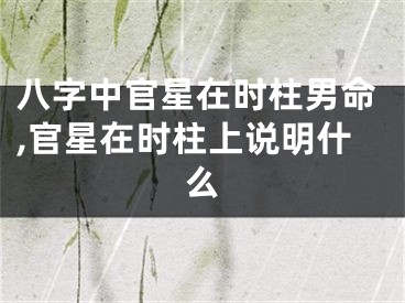 八字中官星在时柱男命,官星在时柱上说明什么