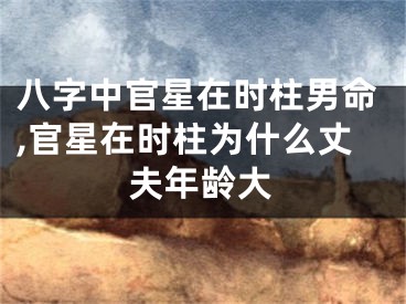 八字中官星在时柱男命,官星在时柱为什么丈夫年龄大
