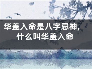 华盖入命是八字忌神,什么叫华盖入命
