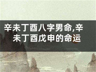 辛未丁酉八字男命,辛未丁酉戊申的命运