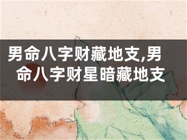 男命八字财藏地支,男命八字财星暗藏地支