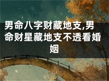 男命八字财藏地支,男命财星藏地支不透看婚姻