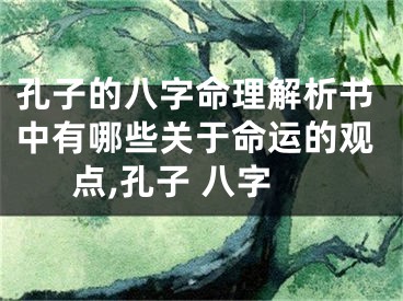 孔子的八字命理解析书中有哪些关于命运的观点,孔子 八字