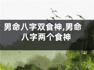 男命八字双食神,男命八字两个食神