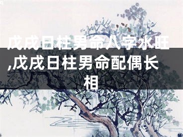 戊戌日柱男命八字水旺,戊戌日柱男命配偶长相