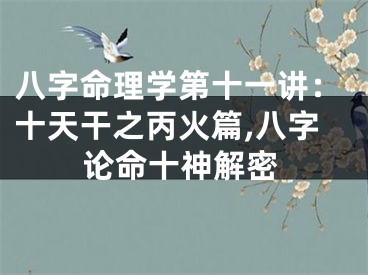 八字命理学第十一讲：十天干之丙火篇,八字论命十神解密