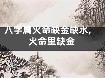 八字属火命缺金缺水,火命里缺金