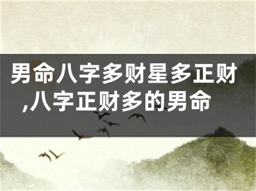 男命八字多财星多正财,八字正财多的男命
