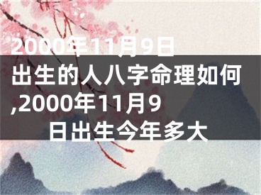 2000年11月9日出生的人八字命理如何,2000年11月9日出生今年多大