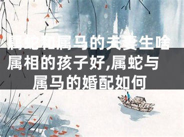 属蛇和属马的夫妻生啥属相的孩子好,属蛇与属马的婚配如何
