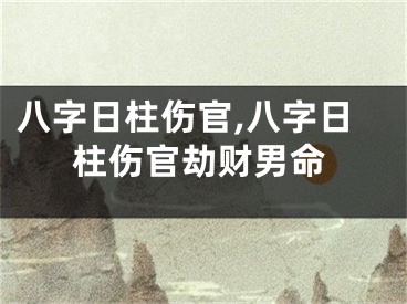 八字日柱伤官,八字日柱伤官劫财男命
