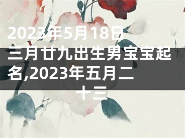 2023年5月18日三月廿九出生男宝宝起名,2023年五月二十三
