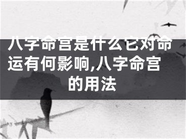 八字命宫是什么它对命运有何影响,八字命宫的用法