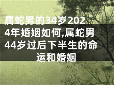 属蛇男的34岁2024年婚姻如何,属蛇男44岁过后下半生的命运和婚姻