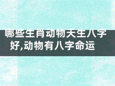 哪些生肖动物天生八字好,动物有八字命运