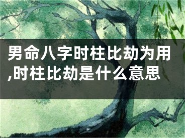 男命八字时柱比劫为用,时柱比劫是什么意思