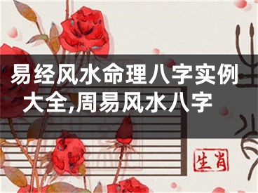 易经风水命理八字实例大全,周易风水八字
