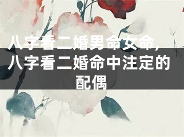 八字看二婚男命女命,八字看二婚命中注定的配偶