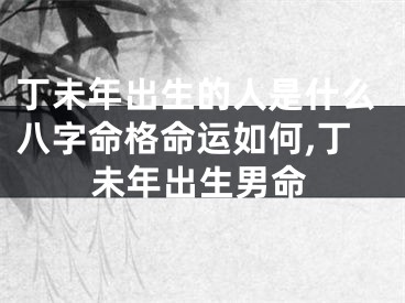 丁未年出生的人是什么八字命格命运如何,丁未年出生男命