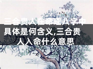 三合贵人在命理八字中具体是何含义,三合贵人入命什么意思