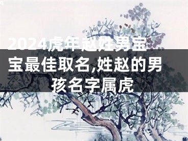 2024虎年赵姓男宝宝最佳取名,姓赵的男孩名字属虎