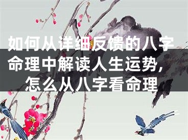 如何从详细反馈的八字命理中解读人生运势,怎么从八字看命理