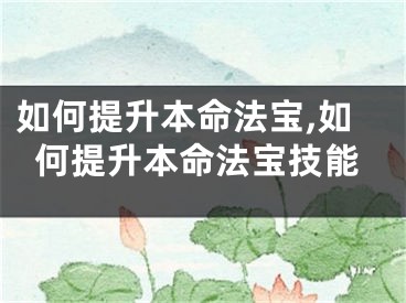 如何提升本命法宝,如何提升本命法宝技能