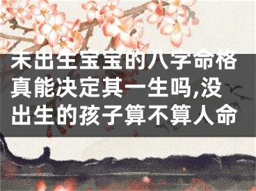 未出生宝宝的八字命格真能决定其一生吗,没出生的孩子算不算人命