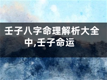 壬子八字命理解析大全中,壬子命运