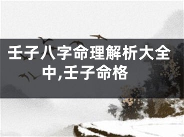 壬子八字命理解析大全中,壬子命格
