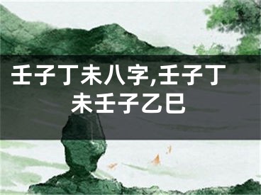壬子丁未八字,壬子丁未壬子乙巳